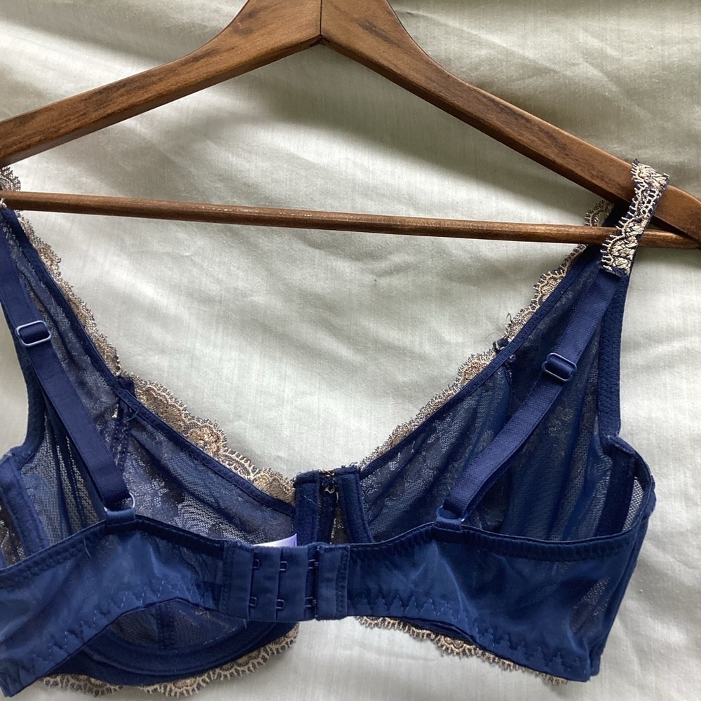 Unbranded blue and silver embroidered floral sheer bra, size 36C - Picture 5 of 7